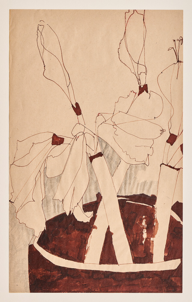 botanicals amaryllis 2024 ink on paper 33×20cm — sabine steinmair