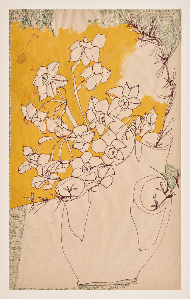 botanicals narzissen 2024 ink on paper 33×20cm — sabine steinmair