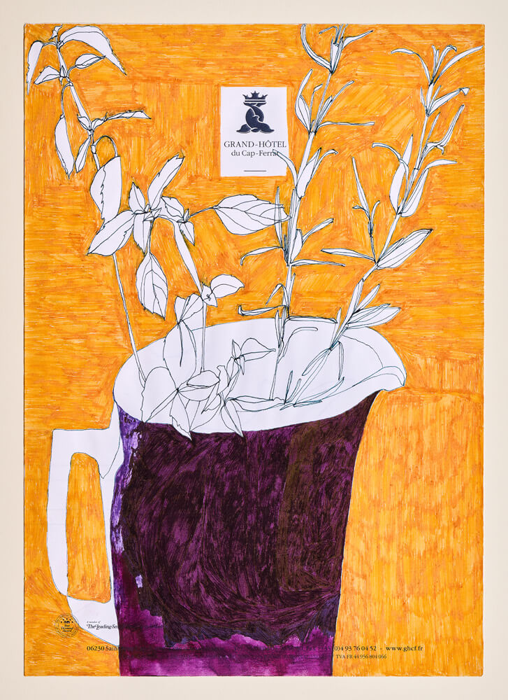 botanicals kräuterkrug 2015 ink on paper 30×21cm — sabine steinmair