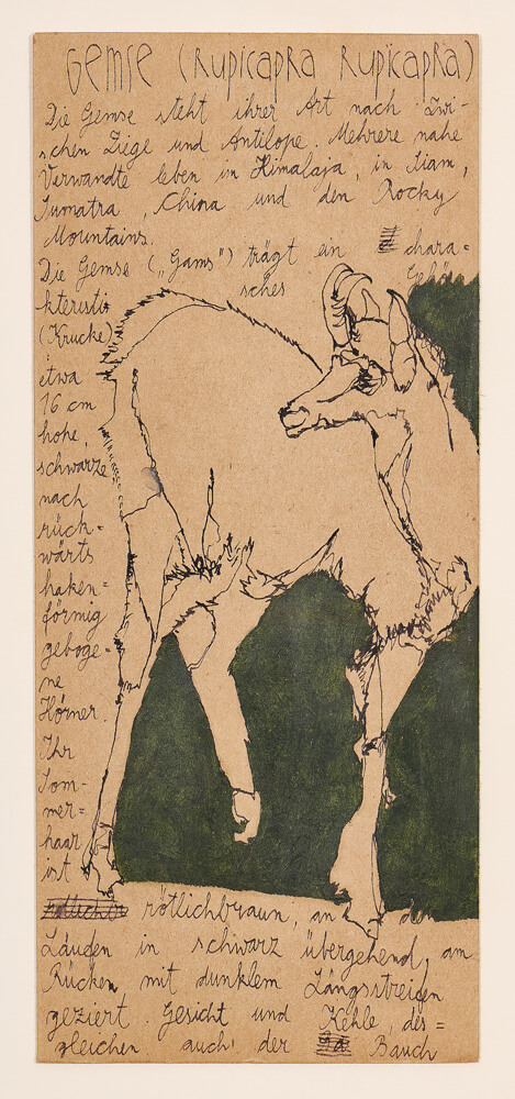 tiere gemse 2015 ink on paper 24×11cm — sabine steinmair