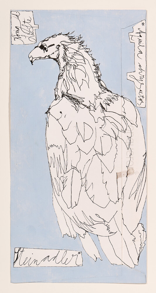 tiere steinadler 2014 ink on paper 22×11cm — sabine steinmair